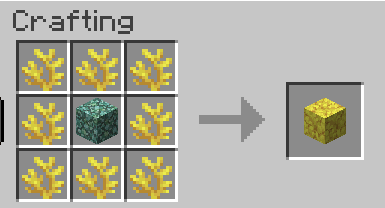 File:Horn coral.png