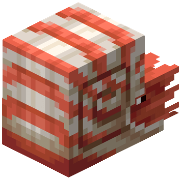 File:Nautilus.png