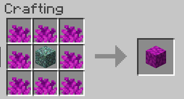 File:Bubble coral.png