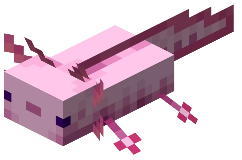 File:Axolotl.png